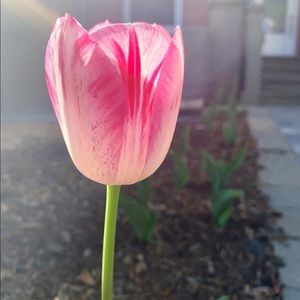 Meet your Posher, Jenn